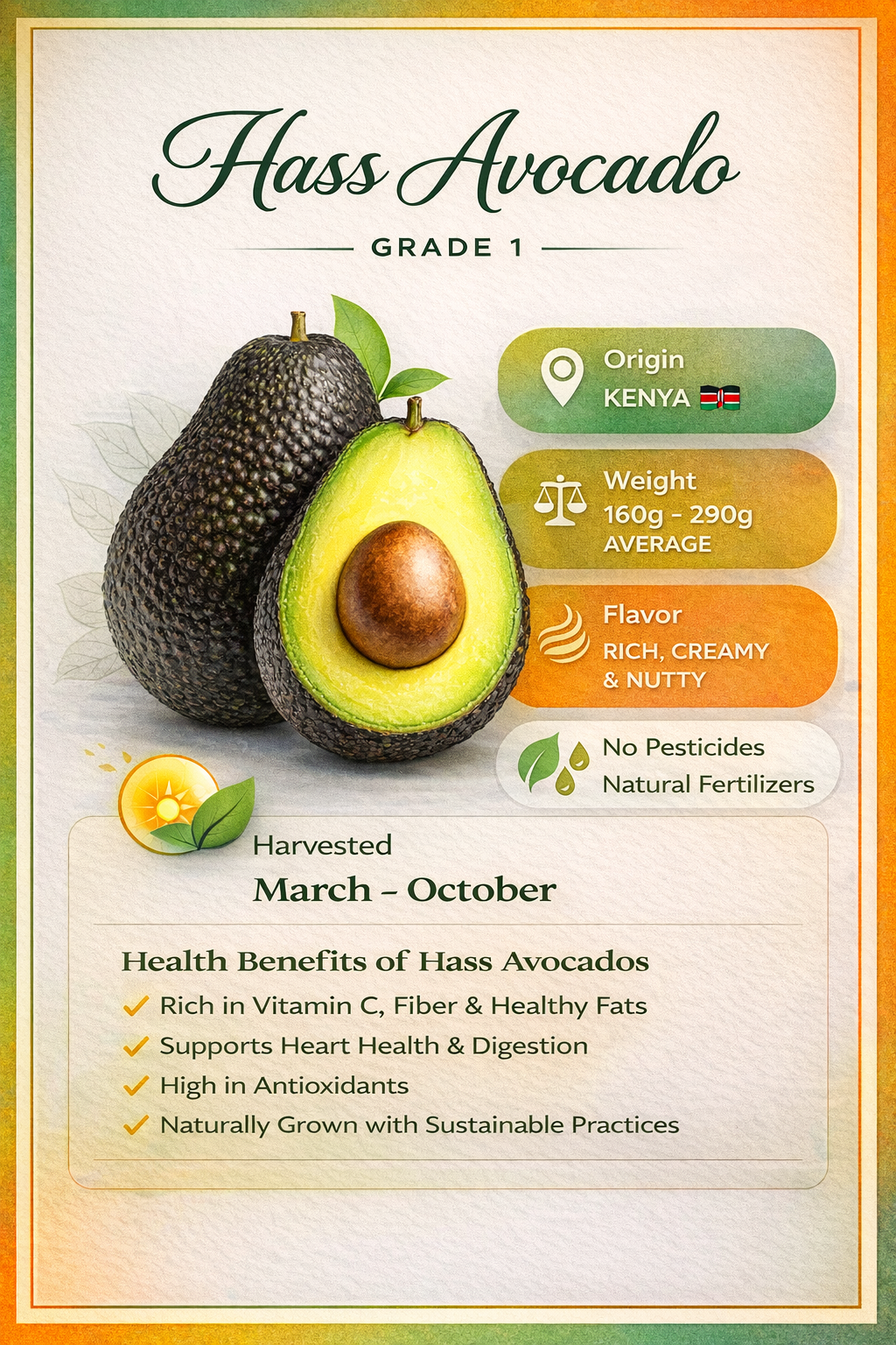 Hass Avocado Infographic